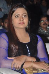 Dikkulu Choodaku Ramayya Movie Audio Launch